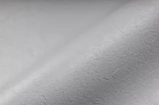 Échantillon Gris clair